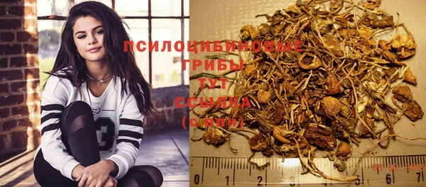 гашик Богородицк