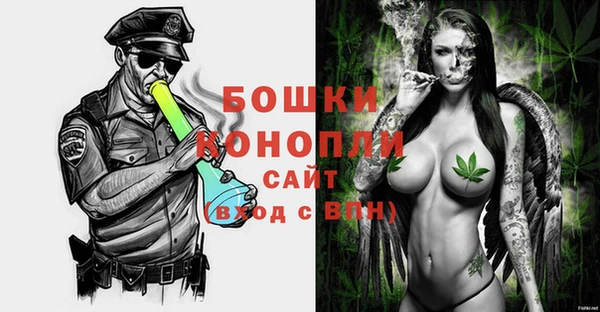 ГАЛЛЮЦИНОГЕННЫЕ ГРИБЫ Богданович
