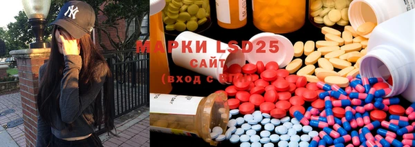 ГАЛЛЮЦИНОГЕННЫЕ ГРИБЫ Богданович