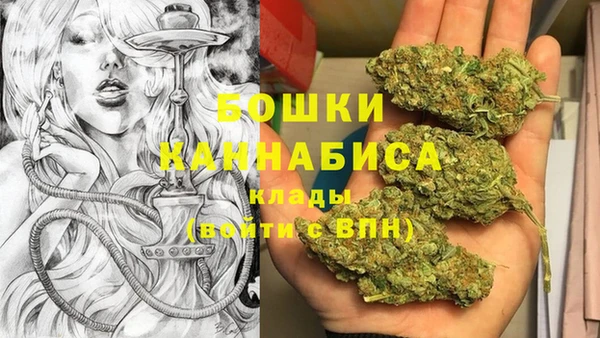 МДПВ Богородск