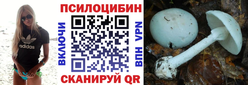 закладка  blacksprut онион  Псилоцибиновые грибы мицелий  Велиж 